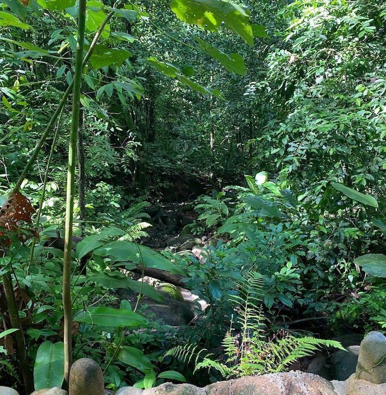 7.7 ACRE LOT WITH OCEAN AND MOUNTAIN VIEWS