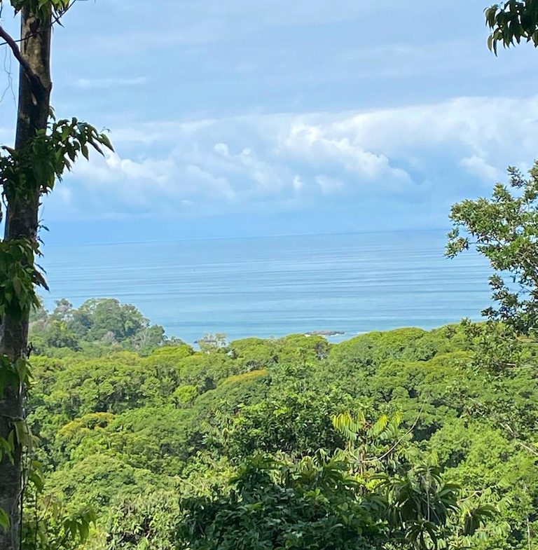 7.7 ACRE LOT WITH OCEAN AND MOUNTAIN VIEWS