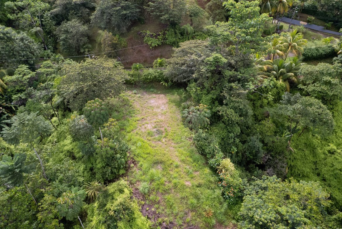 OCEAN & MOUNTAIN VIEW LOT IN CALLE PEREZOSO – 0.6 ACRES