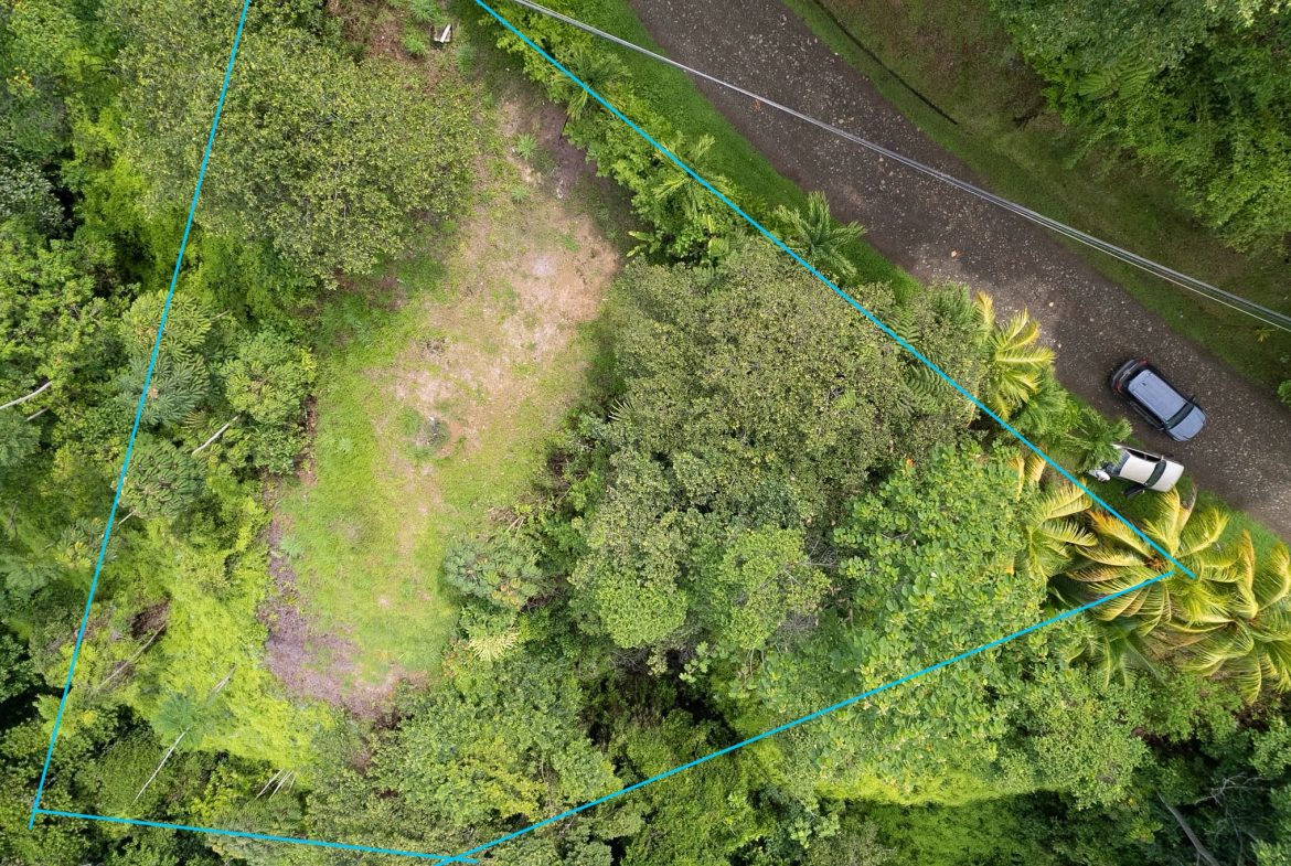 OCEAN & MOUNTAIN VIEW LOT IN CALLE PEREZOSO – 0.6 ACRES