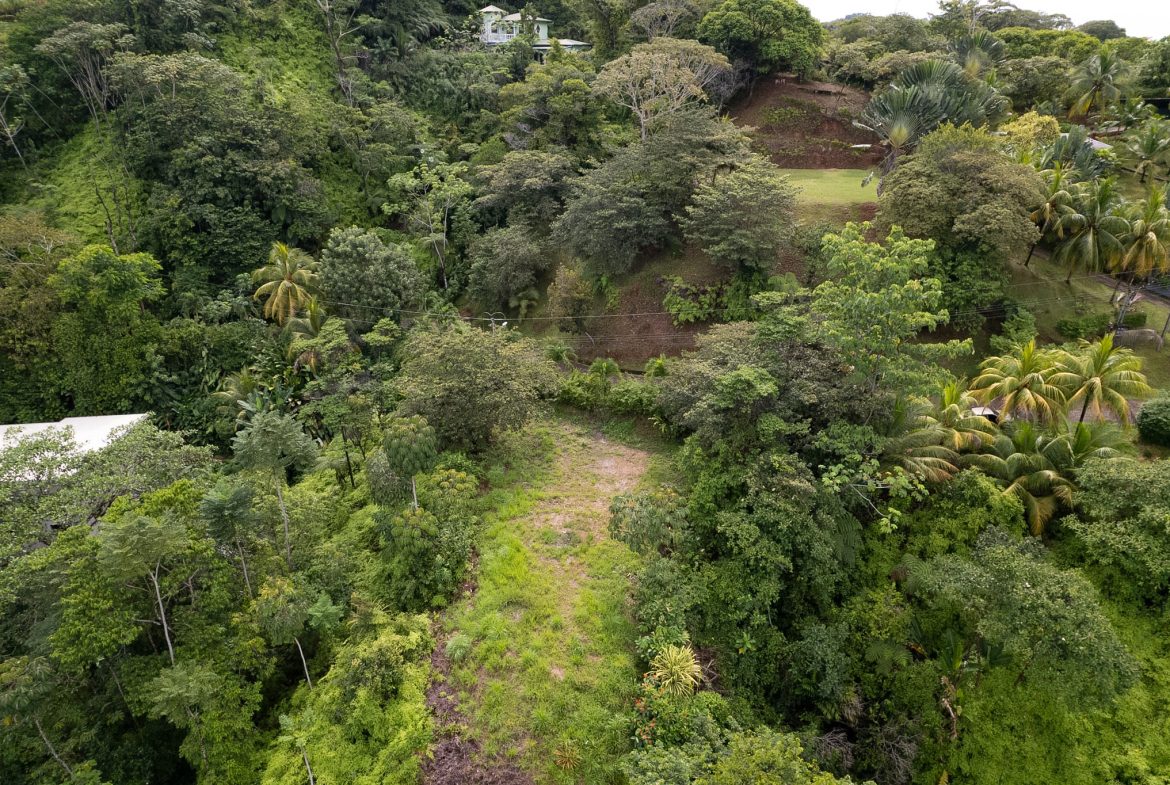 OCEAN & MOUNTAIN VIEW LOT IN CALLE PEREZOSO – 0.6 ACRES