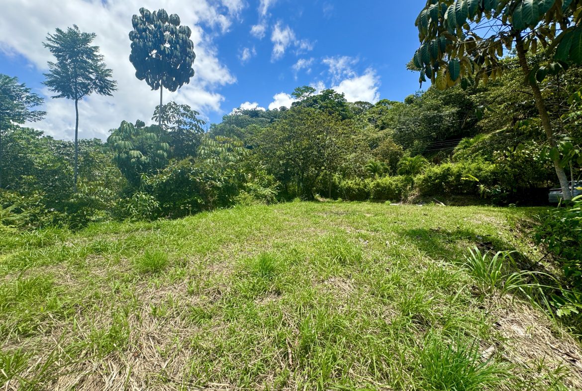 OCEAN & MOUNTAIN VIEW LOT IN CALLE PEREZOSO – 0.6 ACRES