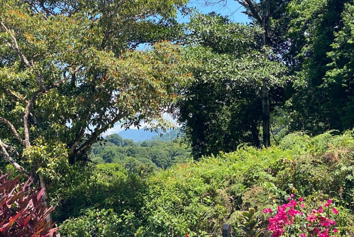 HOME FOR SALE IN OJOCHAL – 2 BEDROOM & 2 BATHS WITH POOL AND JUNGLE VIEWS, Uvita, Costa Rica — photo 7