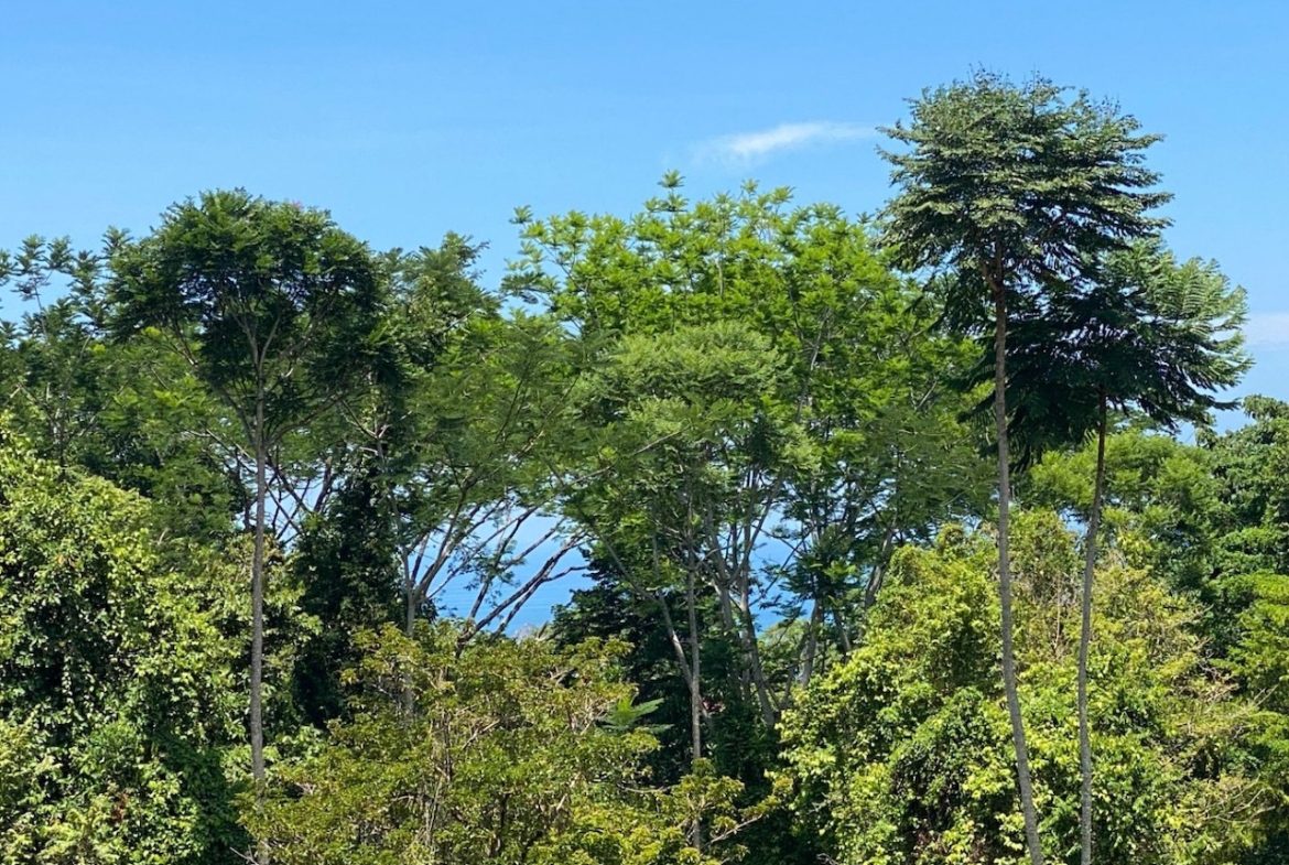 HOME FOR SALE IN OJOCHAL – 2 BEDROOM & 2 BATHS WITH POOL AND JUNGLE VIEWS, Uvita, Costa Rica — photo 8