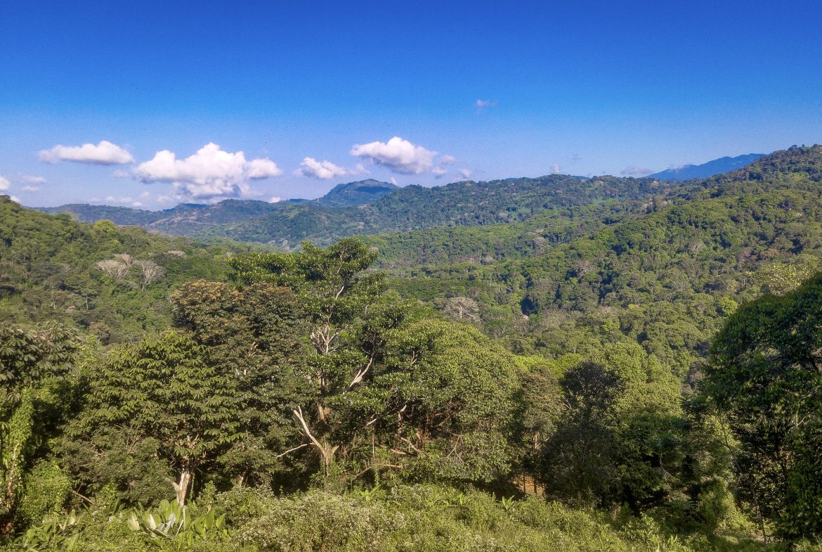 EXCEPTIONAL MOUNTAIN VIEW LOT READY TO BUILD – PRIME OPPORTUNITY NEAR DOMINICAL – 7 ACRES