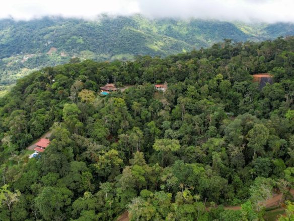 TWO HOUSES WITH AMAZING OCEAN VIEWS + GUEST HOUSE AND ADDITIONAL BUILDING SITES – 13 ACRES, Uvita, Costa Rica — photo 2