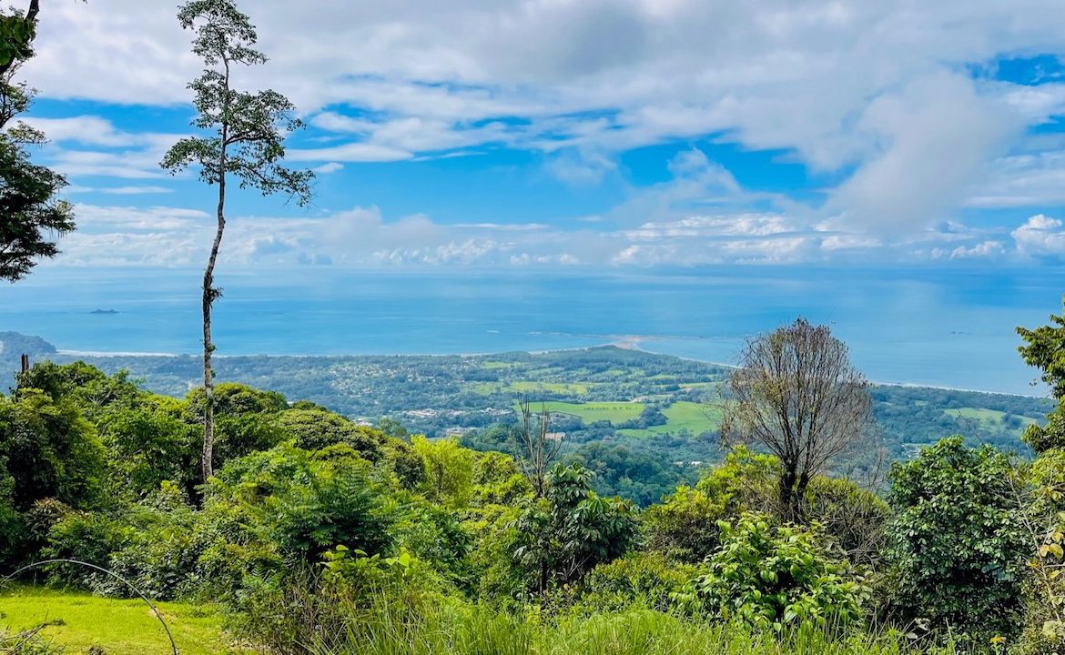 TWO HOUSES WITH AMAZING OCEAN VIEWS + GUEST HOUSE AND ADDITIONAL BUILDING SITES – 13 ACRES, Uvita, Costa Rica — photo 4