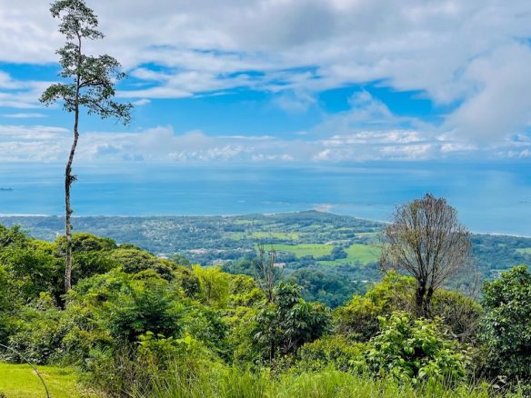 TWO HOUSES WITH AMAZING OCEAN VIEWS + GUEST HOUSE AND ADDITIONAL BUILDING SITES – 13 ACRES, Uvita, Costa Rica — photo 4