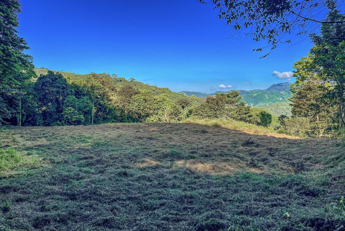 EXCEPTIONAL MOUNTAIN VIEW LOT READY TO BUILD – PRIME OPPORTUNITY NEAR DOMINICAL – 7 ACRES