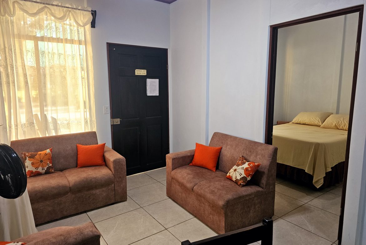 TWO INCOME-GENERATING APARTMENTS FOR SALE IN UVITA