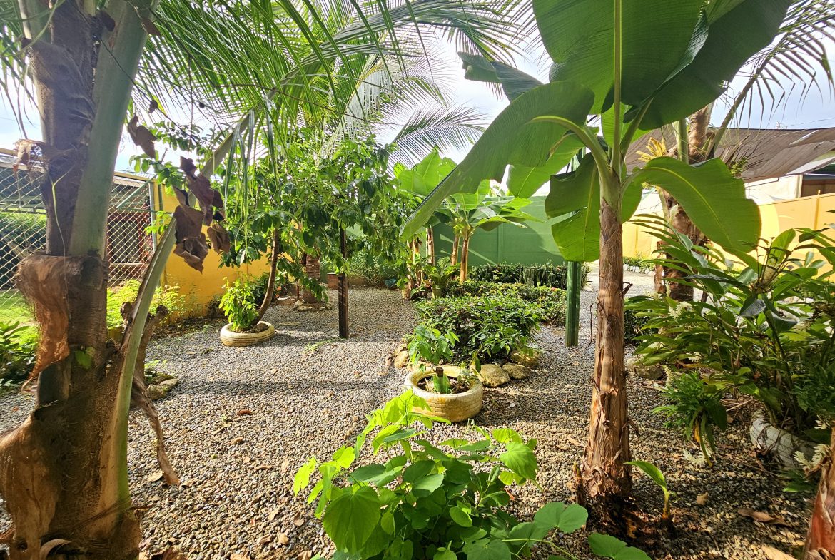 TWO INCOME-GENERATING APARTMENTS FOR SALE IN UVITA
