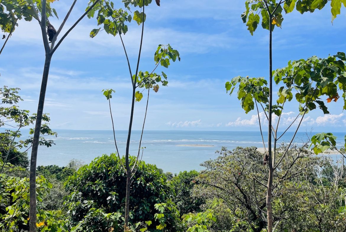 EPIC FRONT ROW OCEAN AND RIVER VIEW LOT