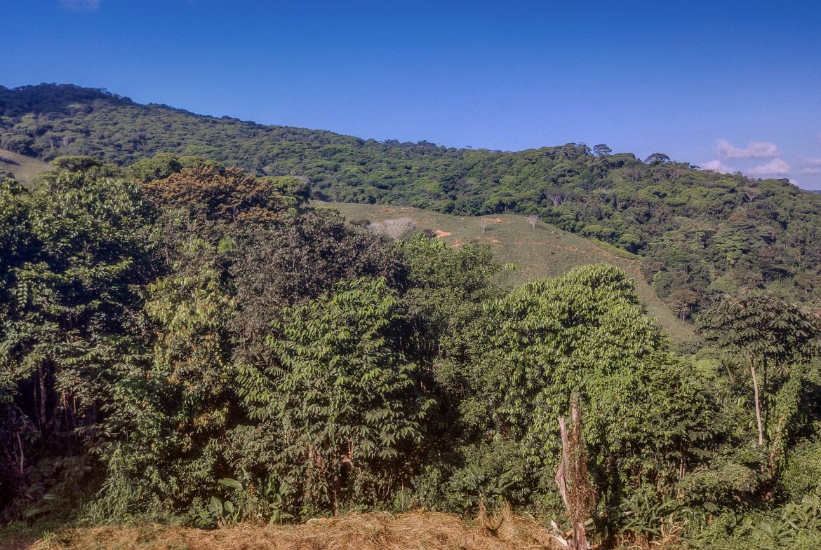 EXCEPTIONAL MOUNTAIN VIEW LOT READY TO BUILD – PRIME OPPORTUNITY NEAR DOMINICAL – 7 ACRES