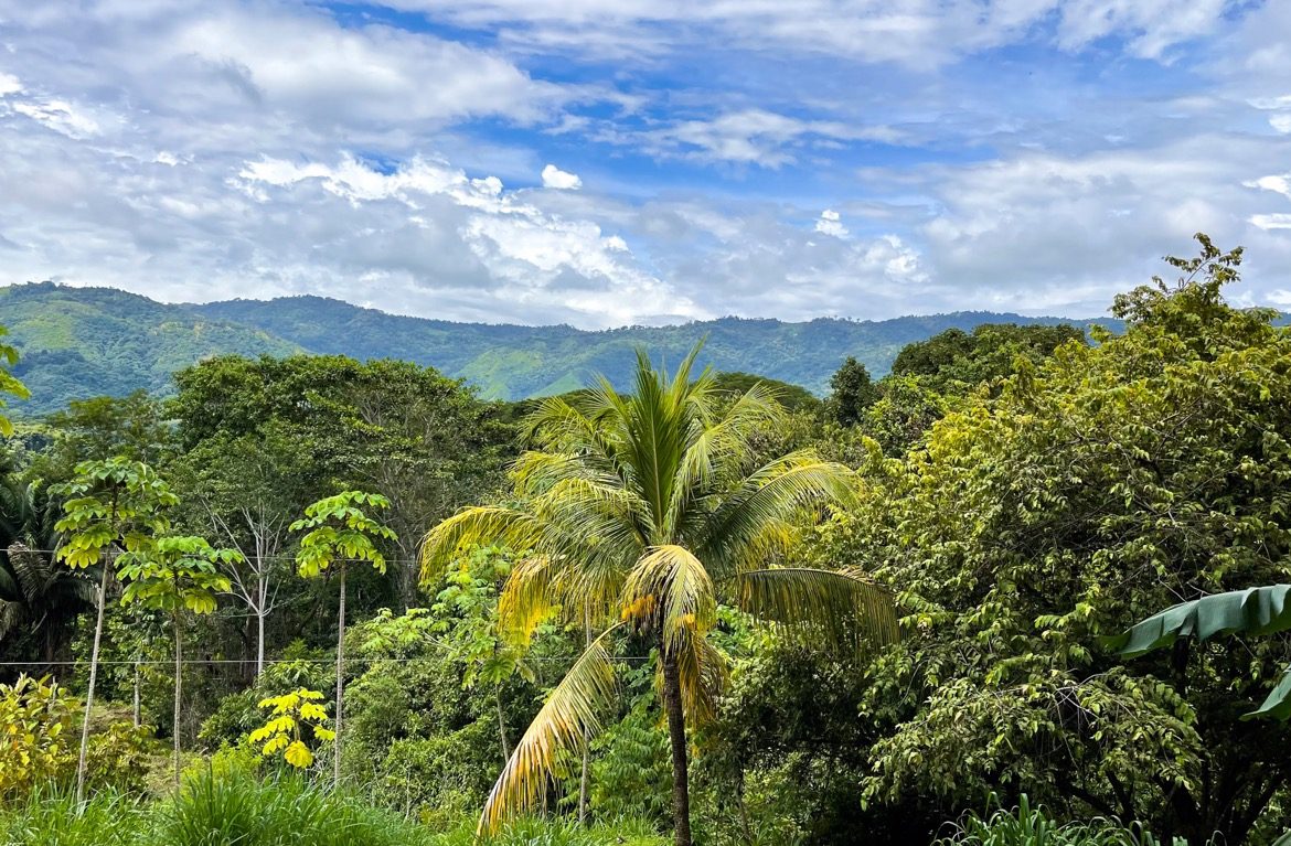 SERENE 5.5-ACRE ESTATE WITH BREATHTAKING VIEWS IN “THE SANCTUARY”