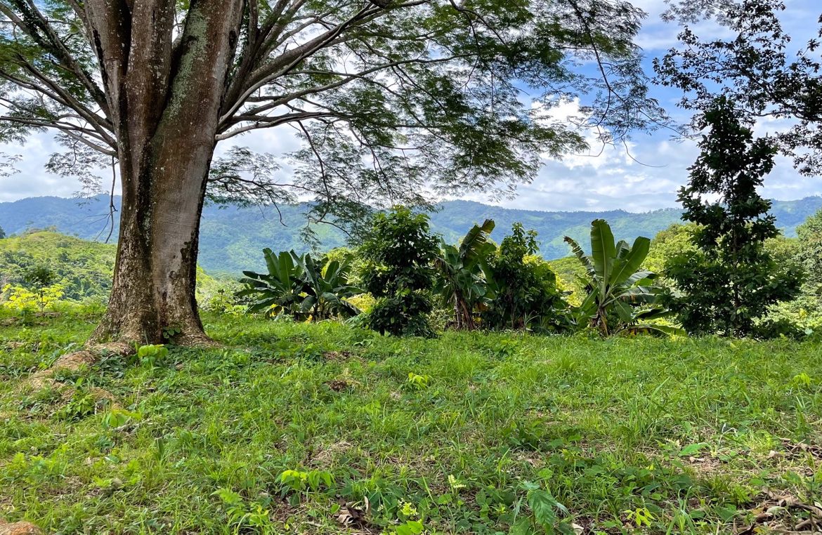 SERENE 5.5-ACRE ESTATE WITH BREATHTAKING VIEWS IN “THE SANCTUARY”