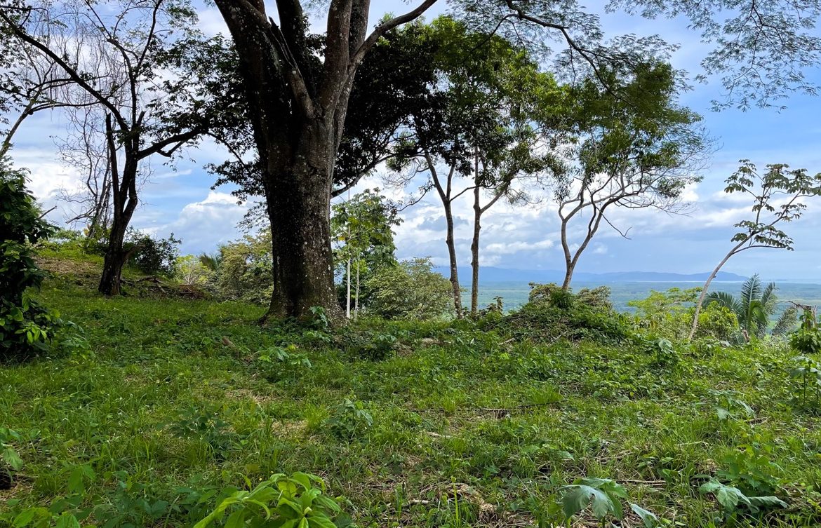 SERENE 5.5-ACRE ESTATE WITH BREATHTAKING VIEWS IN “THE SANCTUARY”