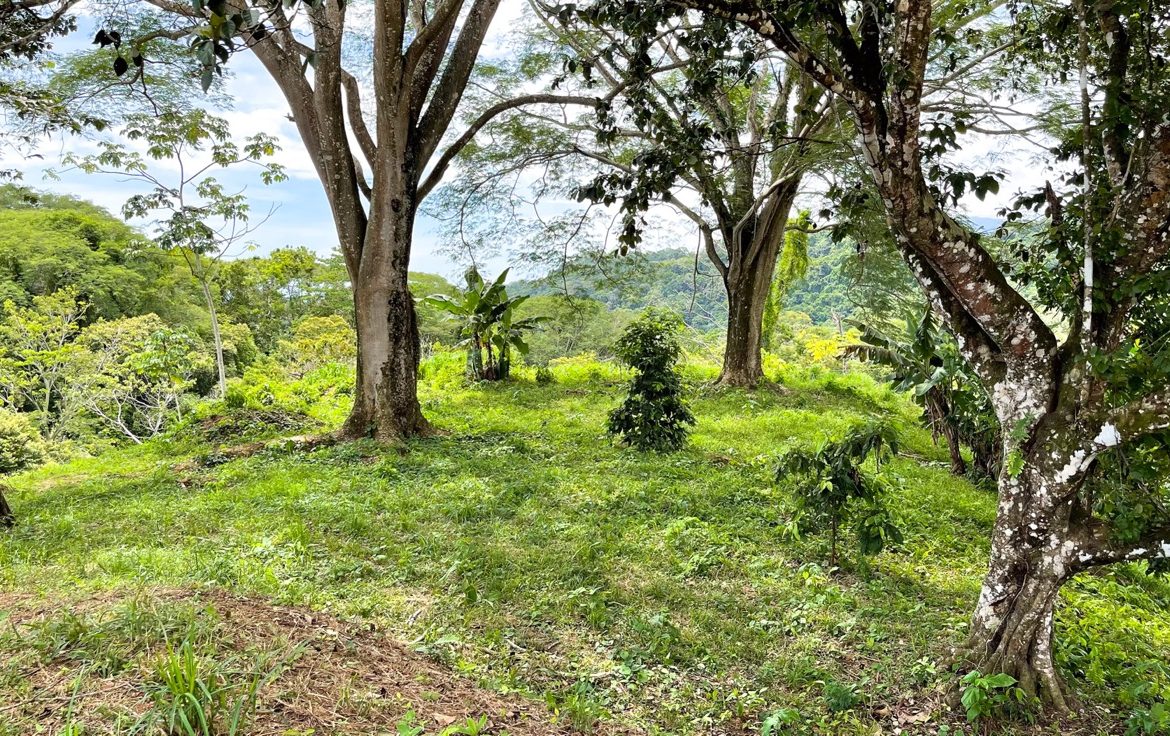 SERENE 5.5-ACRE ESTATE WITH BREATHTAKING VIEWS IN “THE SANCTUARY”