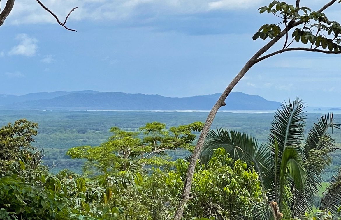 SERENE 5.5-ACRE ESTATE WITH BREATHTAKING VIEWS IN “THE SANCTUARY”