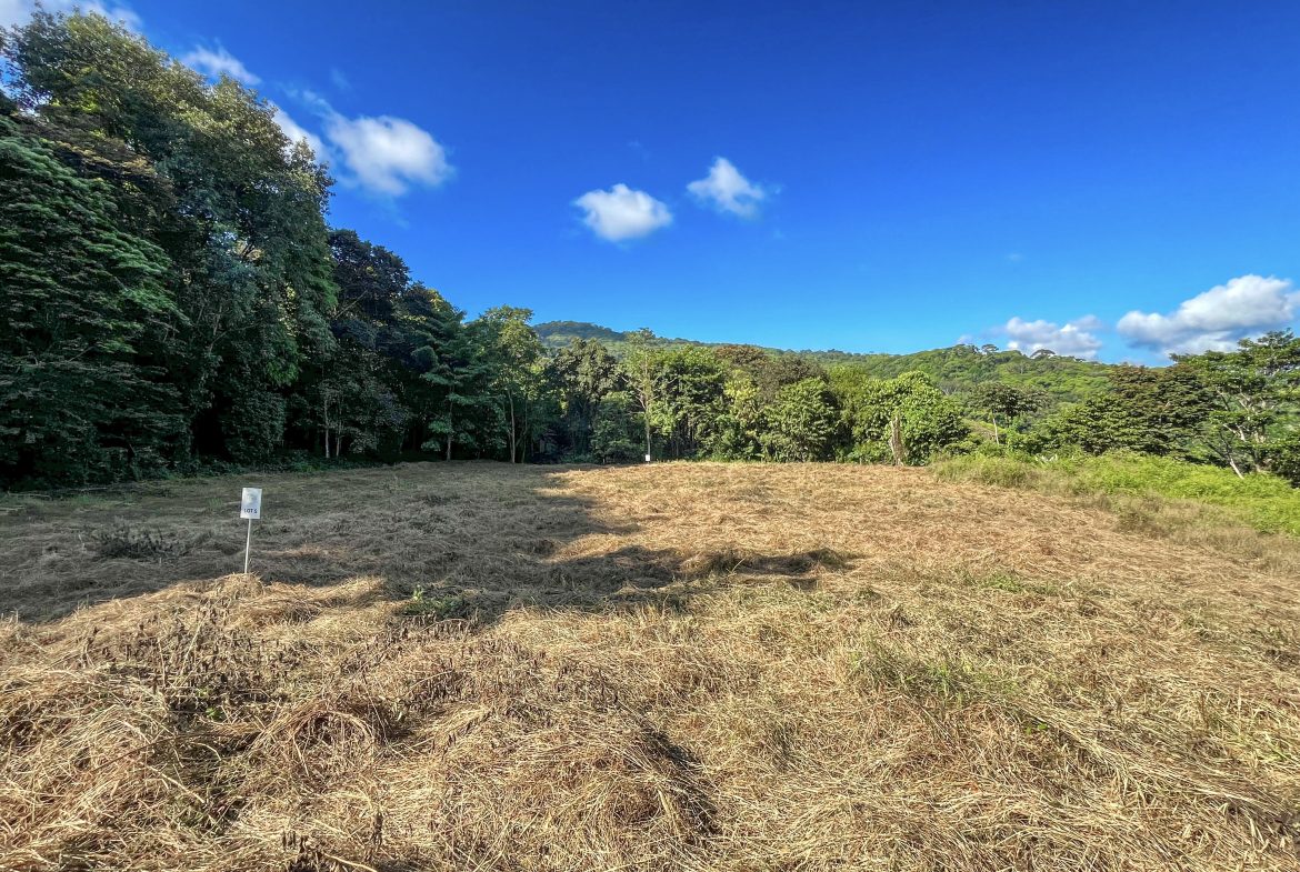 EXCEPTIONAL MOUNTAIN VIEW LOT READY TO BUILD – PRIME OPPORTUNITY NEAR DOMINICAL – 7 ACRES