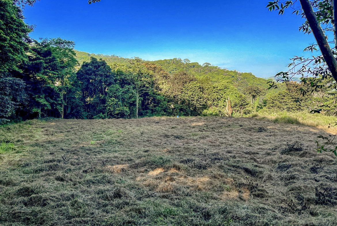 EXCEPTIONAL MOUNTAIN VIEW LOT READY TO BUILD – PRIME OPPORTUNITY NEAR DOMINICAL – 7 ACRES
