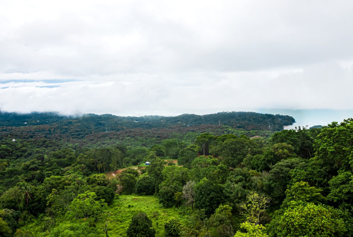 STUNNING OCEAN-VIEW LOT WITH TRANQUIL SURROUNDINGS – 0.5 ACRES