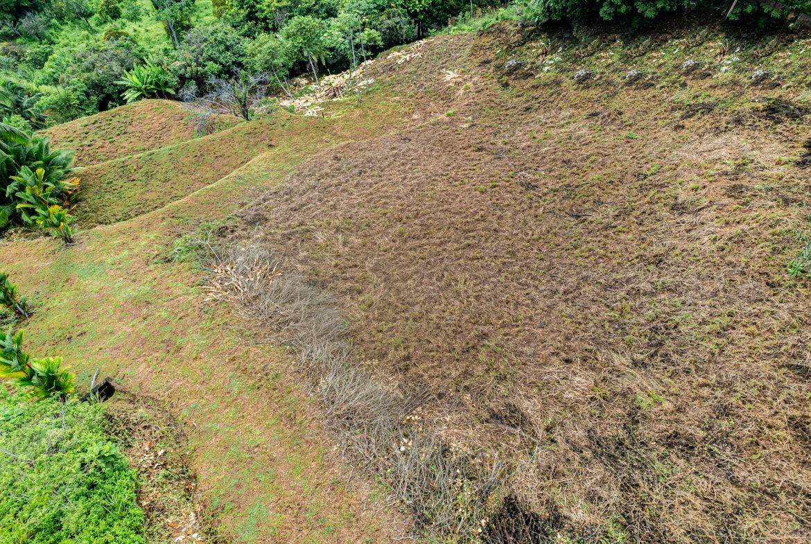 STUNNING OCEAN-VIEW LOT WITH TRANQUIL SURROUNDINGS – 0.5 ACRES