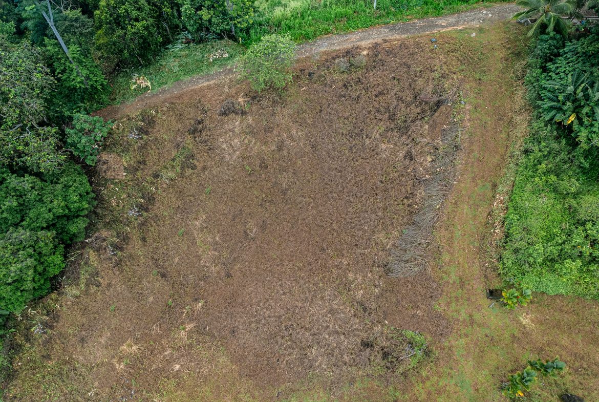 STUNNING OCEAN-VIEW LOT WITH TRANQUIL SURROUNDINGS – 0.5 ACRES