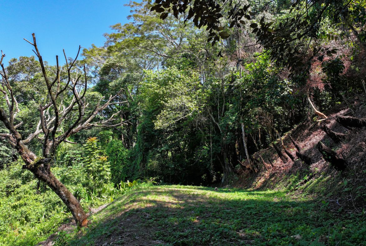 OCEAN VIEW LOT IN GATED COMMUNITY – 2.7 ACRES