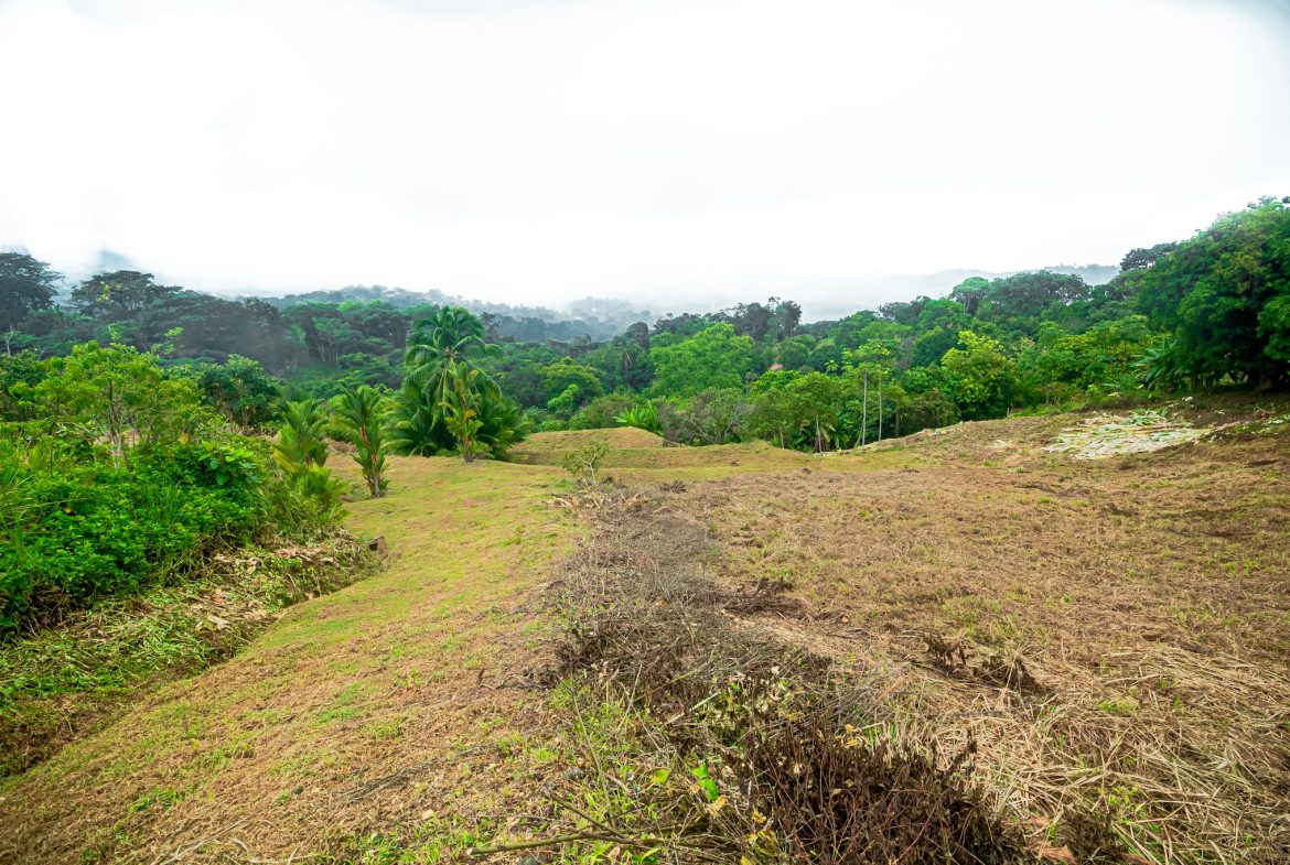 STUNNING OCEAN-VIEW LOT WITH TRANQUIL SURROUNDINGS – 0.5 ACRES
