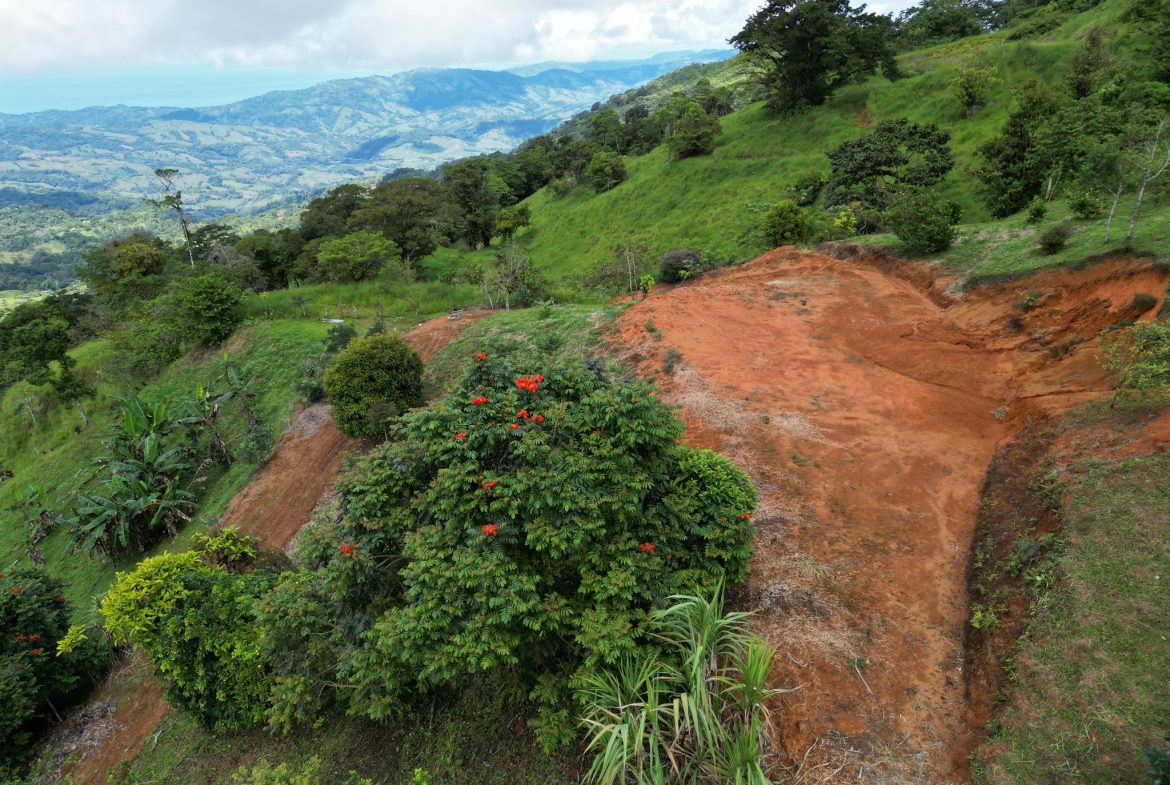 VILLA FONSECA – MOUNTAIN RETREAT WITH STUNNING VIEWS, RUSTIC CABINS & FRUIT ORCHARD – 7.85 ACRES