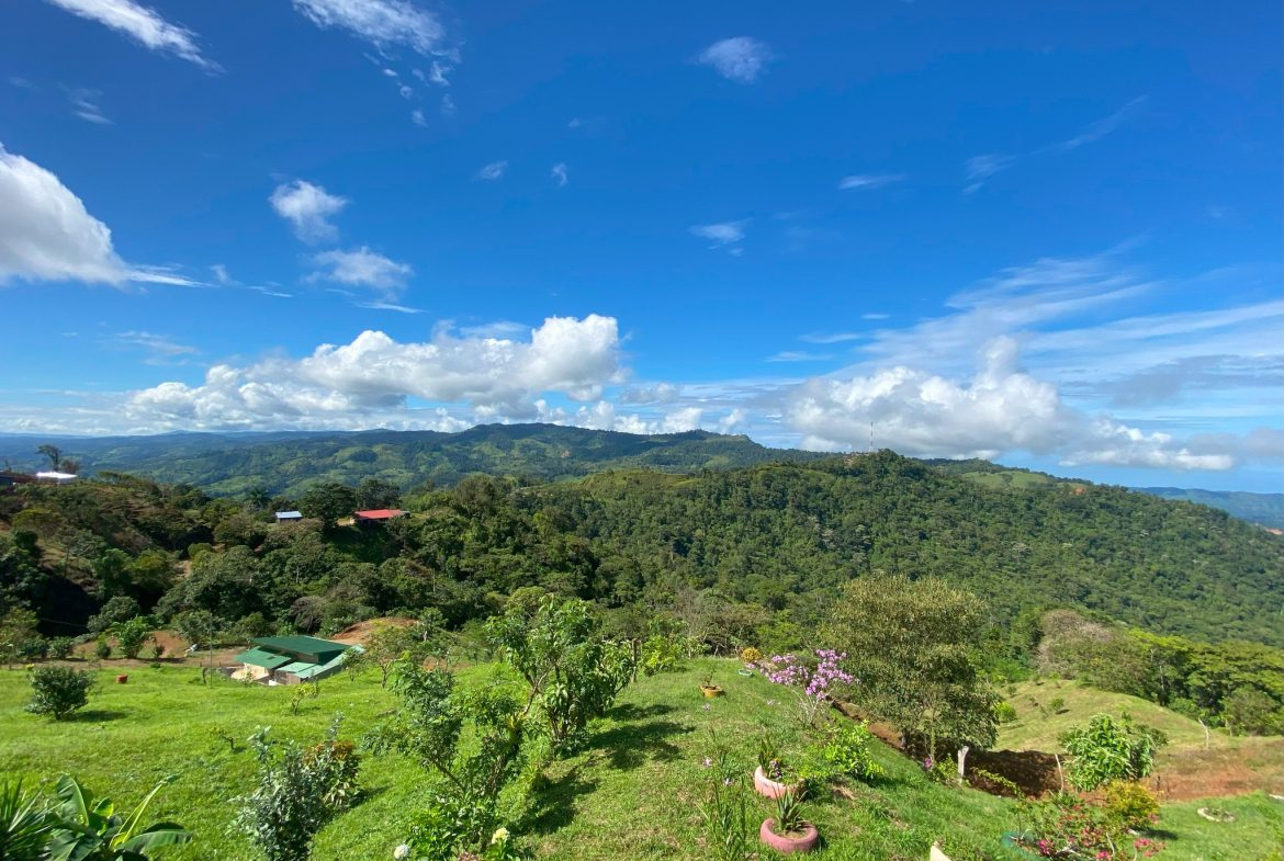 VILLA FONSECA – MOUNTAIN RETREAT WITH STUNNING VIEWS, RUSTIC CABINS & FRUIT ORCHARD – 7.85 ACRES