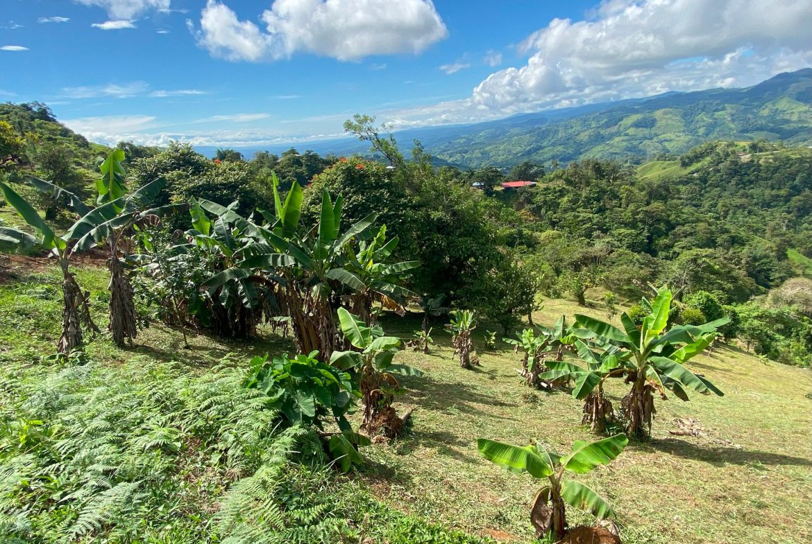 VILLA FONSECA – MOUNTAIN RETREAT WITH STUNNING VIEWS, RUSTIC CABINS & FRUIT ORCHARD – 7.85 ACRES