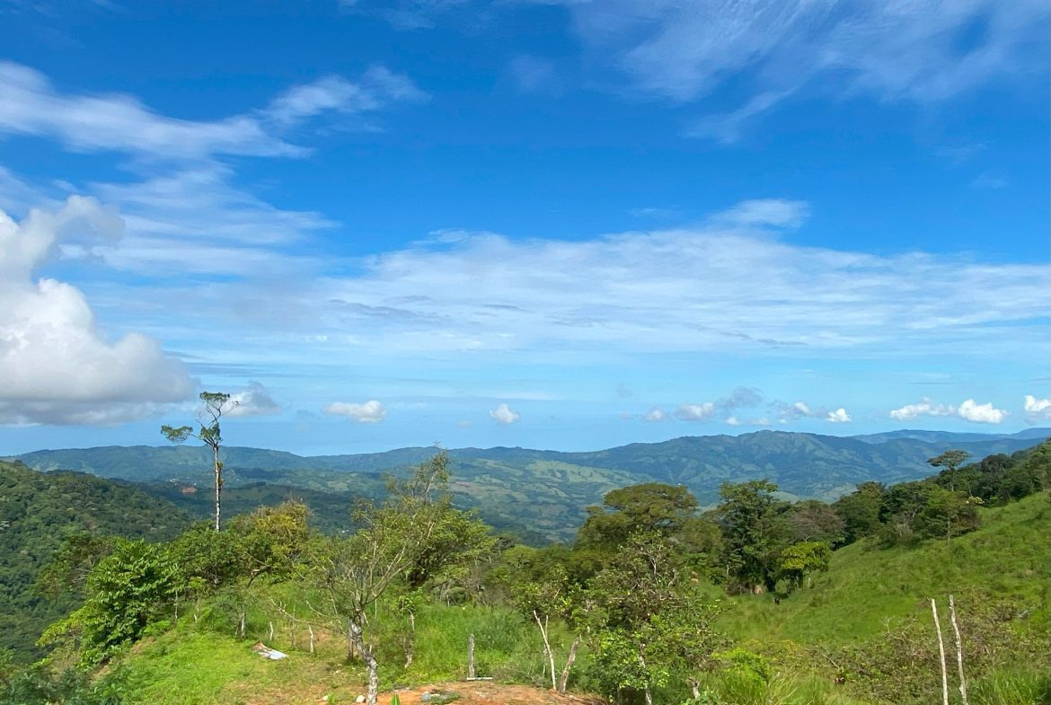 VILLA FONSECA – MOUNTAIN RETREAT WITH STUNNING VIEWS, RUSTIC CABINS & FRUIT ORCHARD – 7.85 ACRES