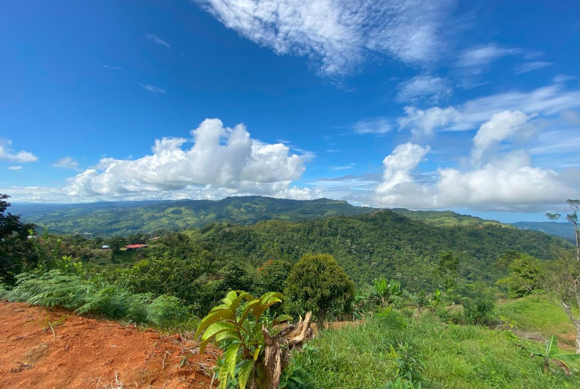 VILLA FONSECA – MOUNTAIN RETREAT WITH STUNNING VIEWS, RUSTIC CABINS & FRUIT ORCHARD – 7.85 ACRES
