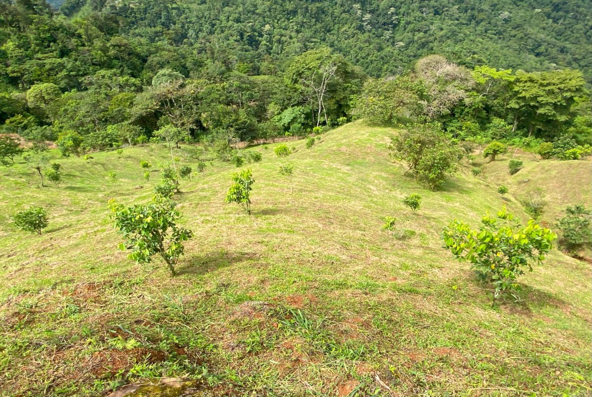 VILLA FONSECA – MOUNTAIN RETREAT WITH STUNNING VIEWS, RUSTIC CABINS & FRUIT ORCHARD – 7.85 ACRES