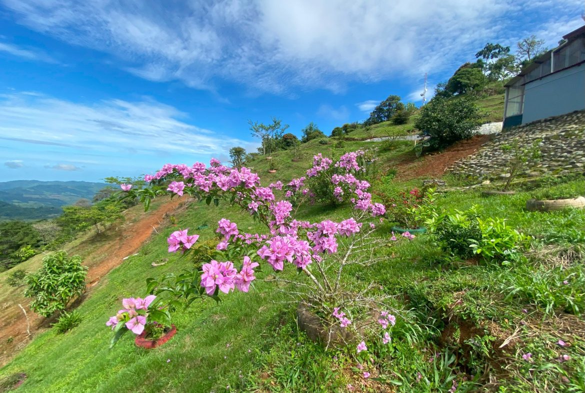 VILLA FONSECA – MOUNTAIN RETREAT WITH STUNNING VIEWS, RUSTIC CABINS & FRUIT ORCHARD – 7.85 ACRES