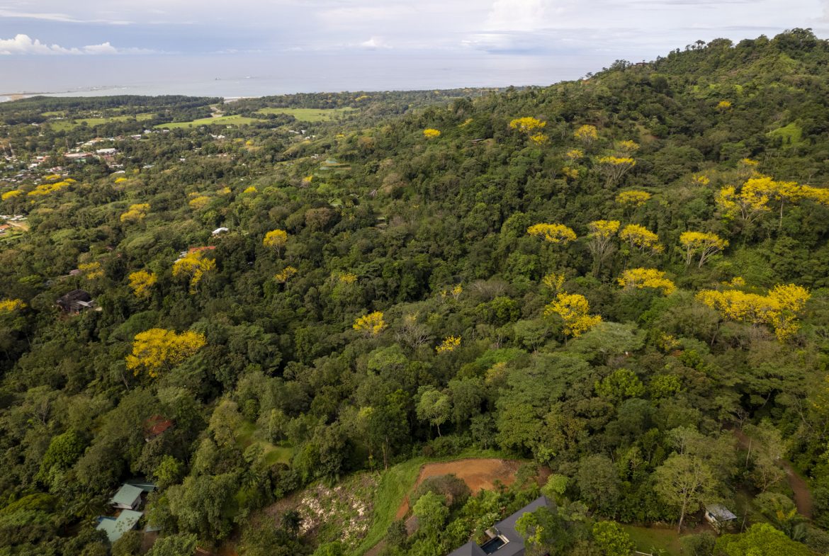 PRIME OCEAN VIEW PARCEL IN UVITA : A RARE COASTAL GEM – 1.9 ACRES