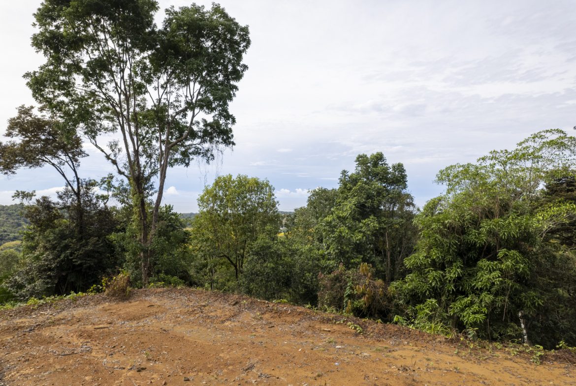 PRIME OCEAN VIEW PARCEL IN UVITA : A RARE COASTAL GEM – 1.9 ACRES