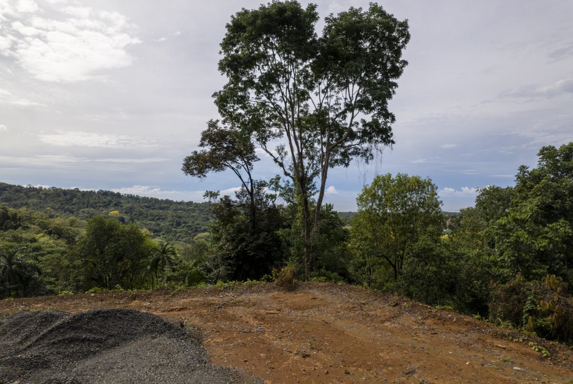 PRIME OCEAN VIEW PARCEL IN UVITA : A RARE COASTAL GEM – 1.9 ACRES