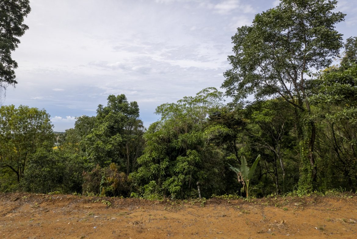PRIME OCEAN VIEW PARCEL IN UVITA : A RARE COASTAL GEM – 1.9 ACRES