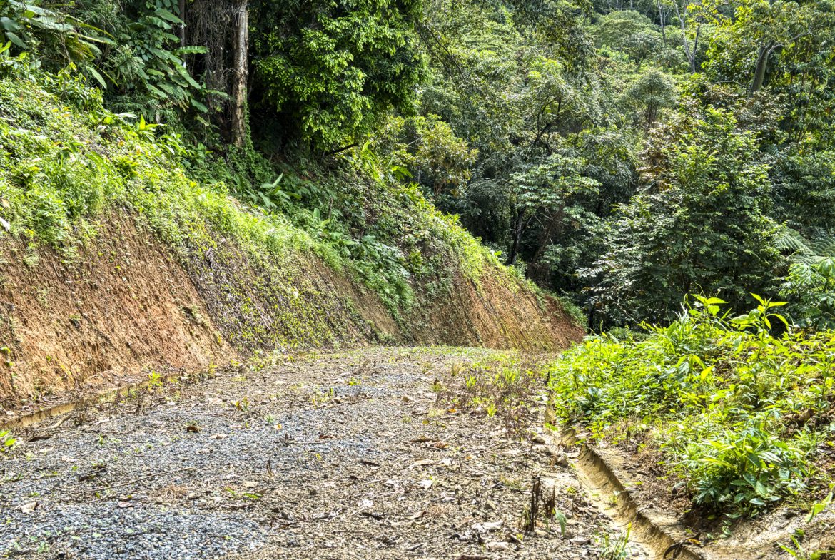 PRIME OCEAN VIEW PARCEL IN UVITA : A RARE COASTAL GEM – 1.9 ACRES