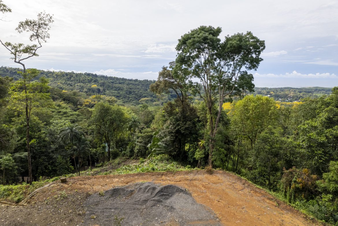 PRIME OCEAN VIEW PARCEL IN UVITA : A RARE COASTAL GEM – 1.9 ACRES