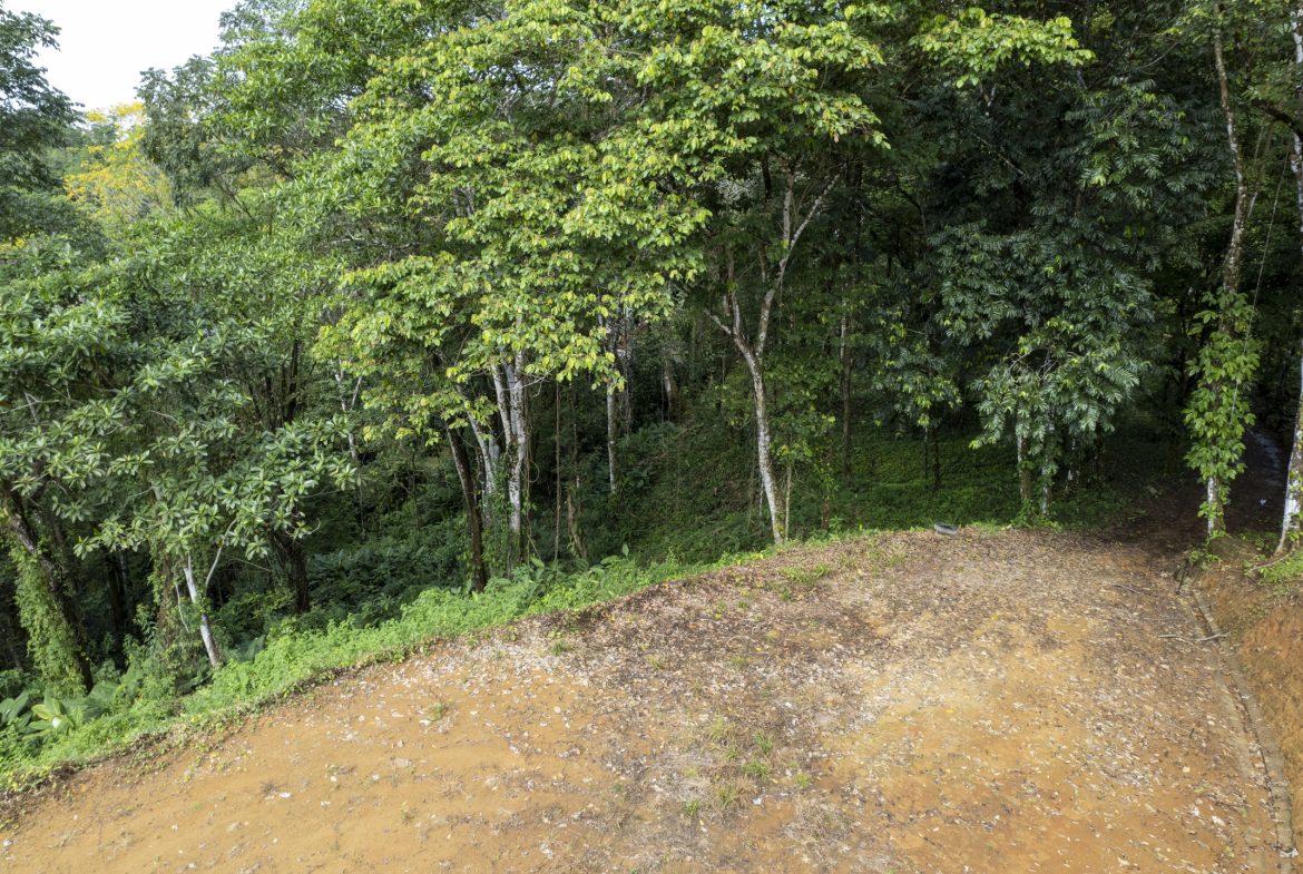 PRIME OCEAN VIEW PARCEL IN UVITA : A RARE COASTAL GEM – 1.9 ACRES