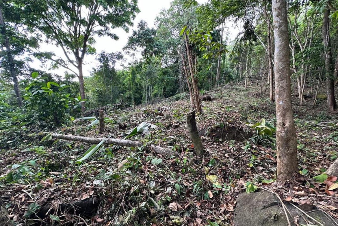 OCEAN AND MOUNTAIN VIEW PROPERTY  – 284 ACRES