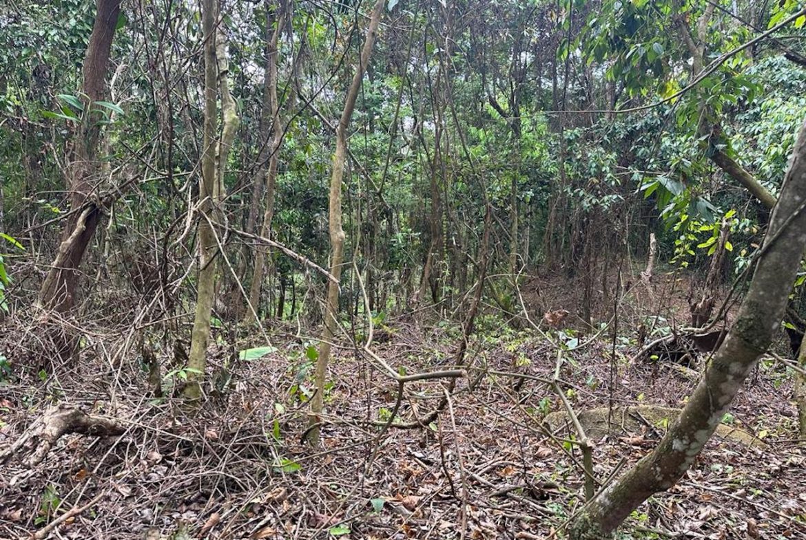 OCEAN AND MOUNTAIN VIEW PROPERTY  – 284 ACRES