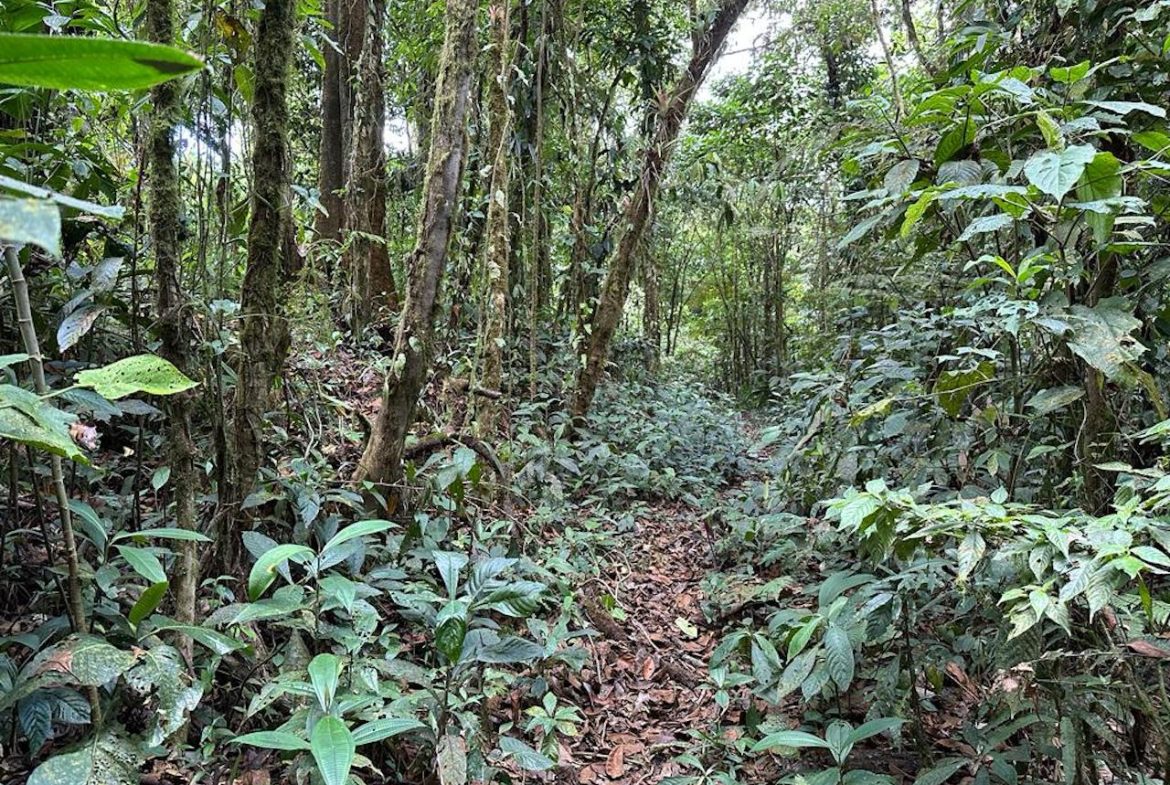 OCEAN AND MOUNTAIN VIEW PROPERTY  – 284 ACRES