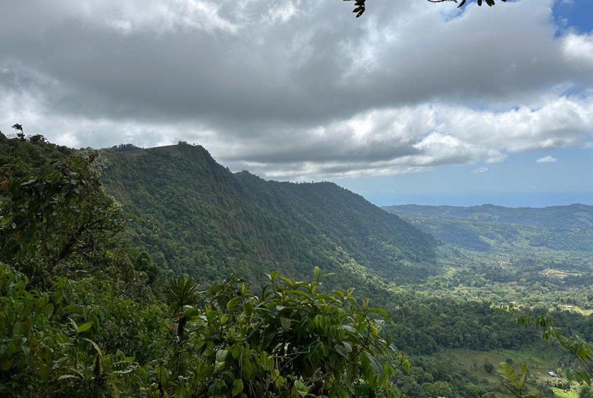 OCEAN AND MOUNTAIN VIEW PROPERTY  – 284 ACRES