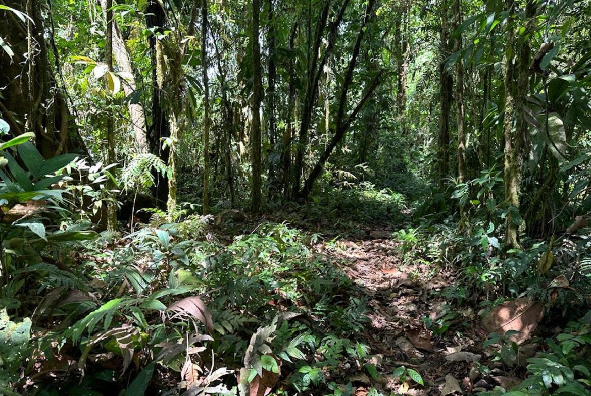 OCEAN AND MOUNTAIN VIEW PROPERTY  – 284 ACRES