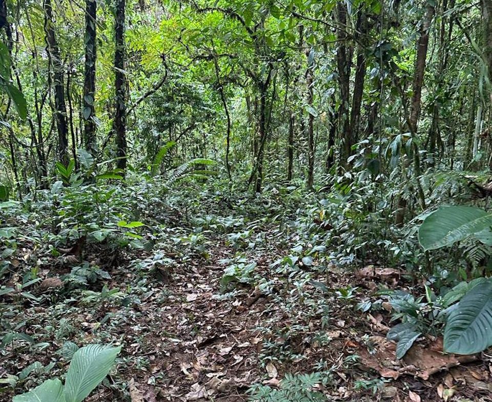 OCEAN AND MOUNTAIN VIEW PROPERTY  – 284 ACRES