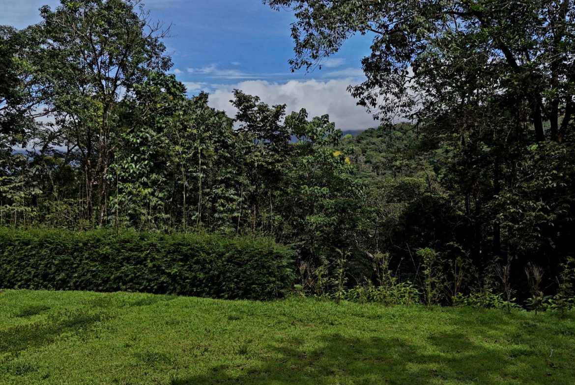 5-MINUTE DRIVE TO UVITA LOT – 0.23 ACRES